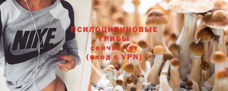 Галлюциногенные грибы Magic Shrooms  ОМГ ОМГ сайт  Верхняя Тура 